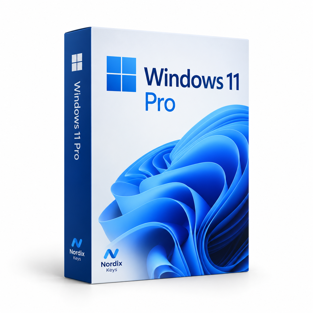 Windows 11 Pro